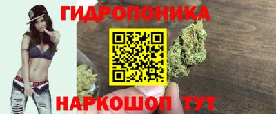 скорость Аргун